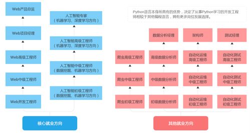 初中生自學Python與網絡技術開發 從零到實踐的全路徑指南